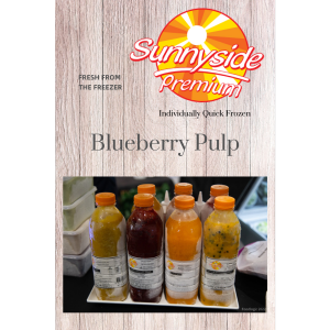 Blueberry Pulp